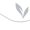 enviricard® paperboard cards